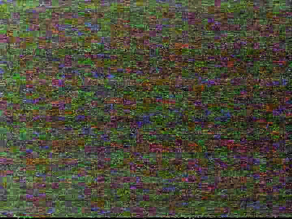 Démonstration kungfu taichi de l'Ecole du Tigre volant au Salon des Arts martiaux en 1995. Tél: 01 45 77 30 78