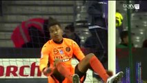 Toulouse 1-2 Guingamp Briand J. Goal - 30.01.2016