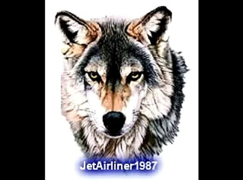 Preguntas Estupidas De Yahoo Respuestas (2/2) (Jetailiner1987)