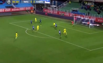 Gillet G. Goal -Troyes 0-1 Nantes - 30.01.2016