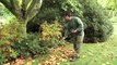 Mygrove: Raking leaves in the garden