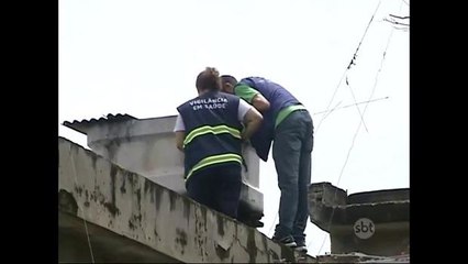 Cidades paulistas participam de mutirão contra dengue