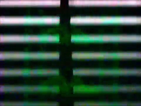 Início e fim do VHS Disney 'O Rei Leão'