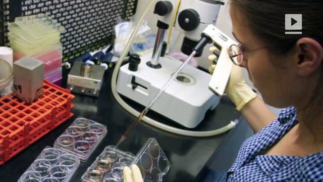 Italian academics call for boycott of Israeli universities