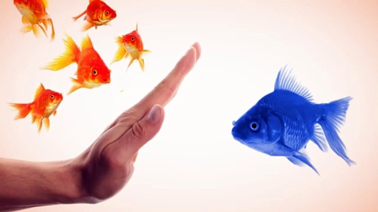 Binary Options Trading Signals - How to make Money $5,000 A Month