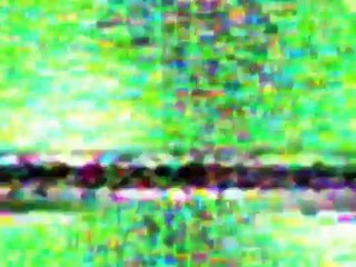 The Most Extreme - Freeloaders