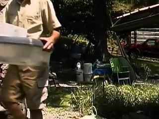 Mutation: Science of Survival