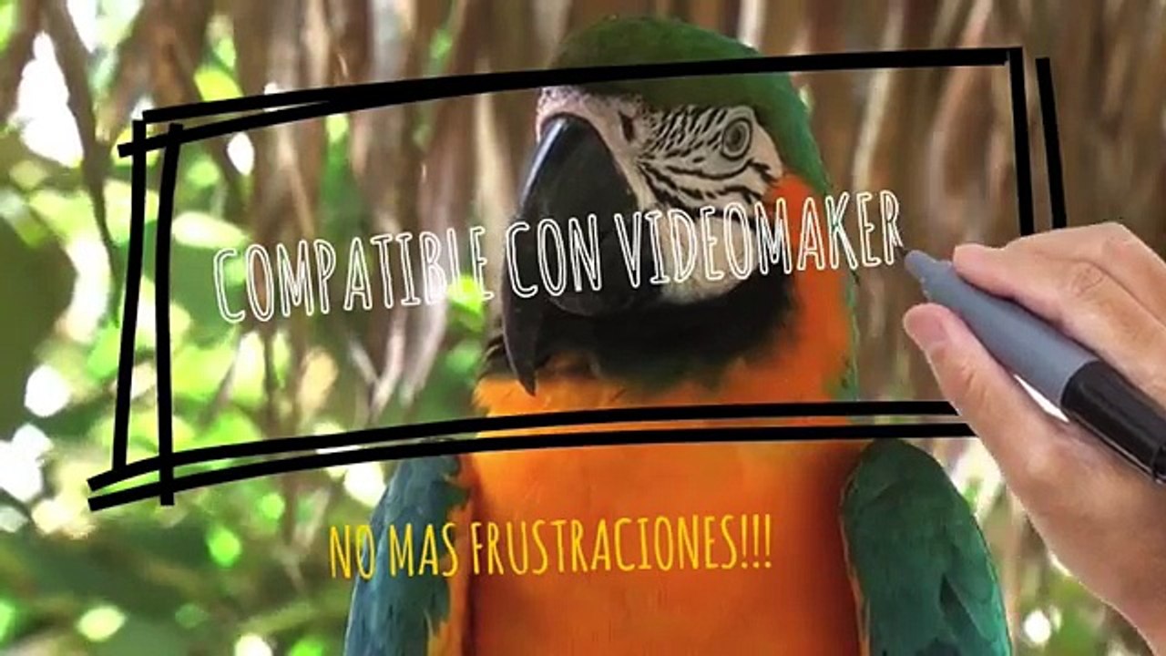 Explaindio Mini Tour Por La Suite de Video Marketing EXPLAINDIO