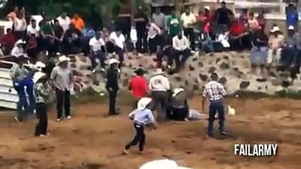 عندما تقرر الحيوانات المهاجمة