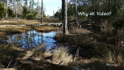 Why get a 4K smart TV? Details