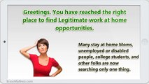 Legitimate Online Data Entry Jobs No Experience Needed