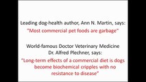 Dog Food Secrets the Dog Food Industry Hides