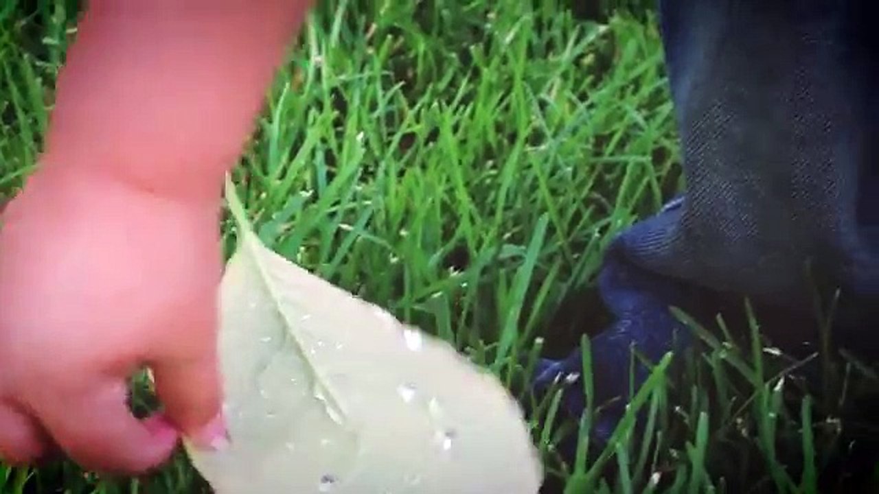 Nature Appreciation - Fro Knows Photo Video Contest 2015