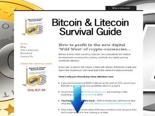 Bitcoin Litecoin Survival Guide