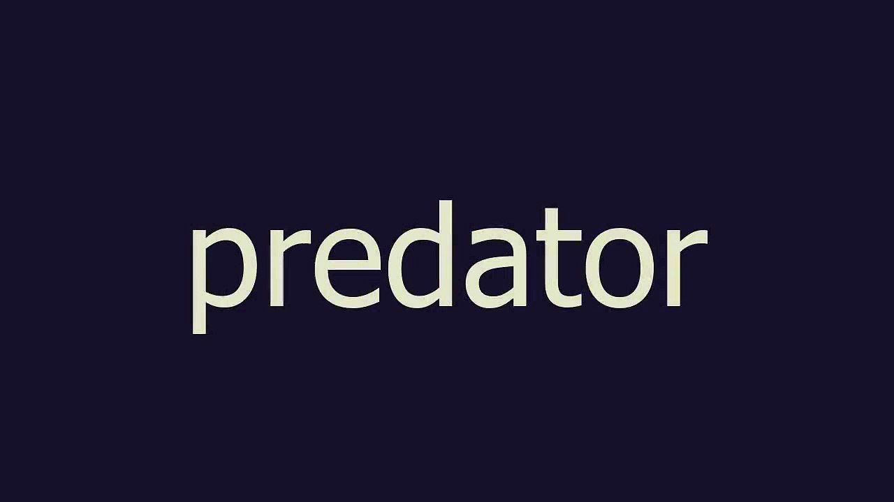 predator meaning and pronunciation