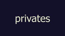 privates meaning and pronunciation
