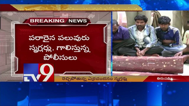 Red Sanders worth 40 lakhs seized in Tirumala