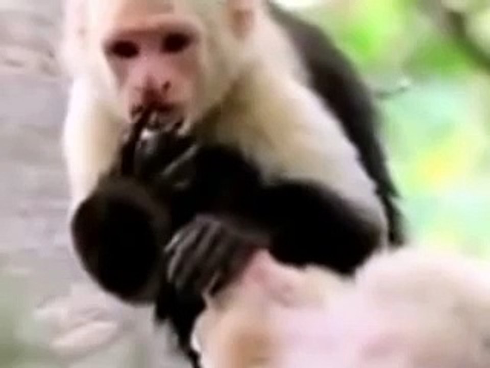 حيوانات مضحكة تتكلم عربي 2015