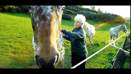 Secret Horse  Quest for the True Appaloosa Trailer BBC4 Jan 2015