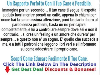 Corso Addestramento Cani Campania Discount + Bouns
