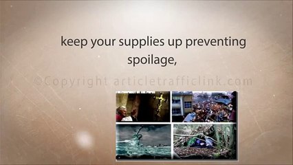 Survive The End Days Review.