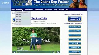 Dog Training Singapore - The Online Dog Trainer