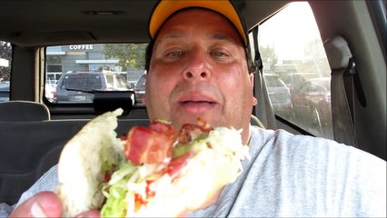 Which Wich? | The Wicked Sandwich Review w/ The Endorsement!