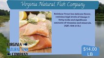 Custom Explaindio Slides for Seafood, Recipes, Restaurant Menus
