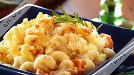 500+ Crockpot Girls Recipes