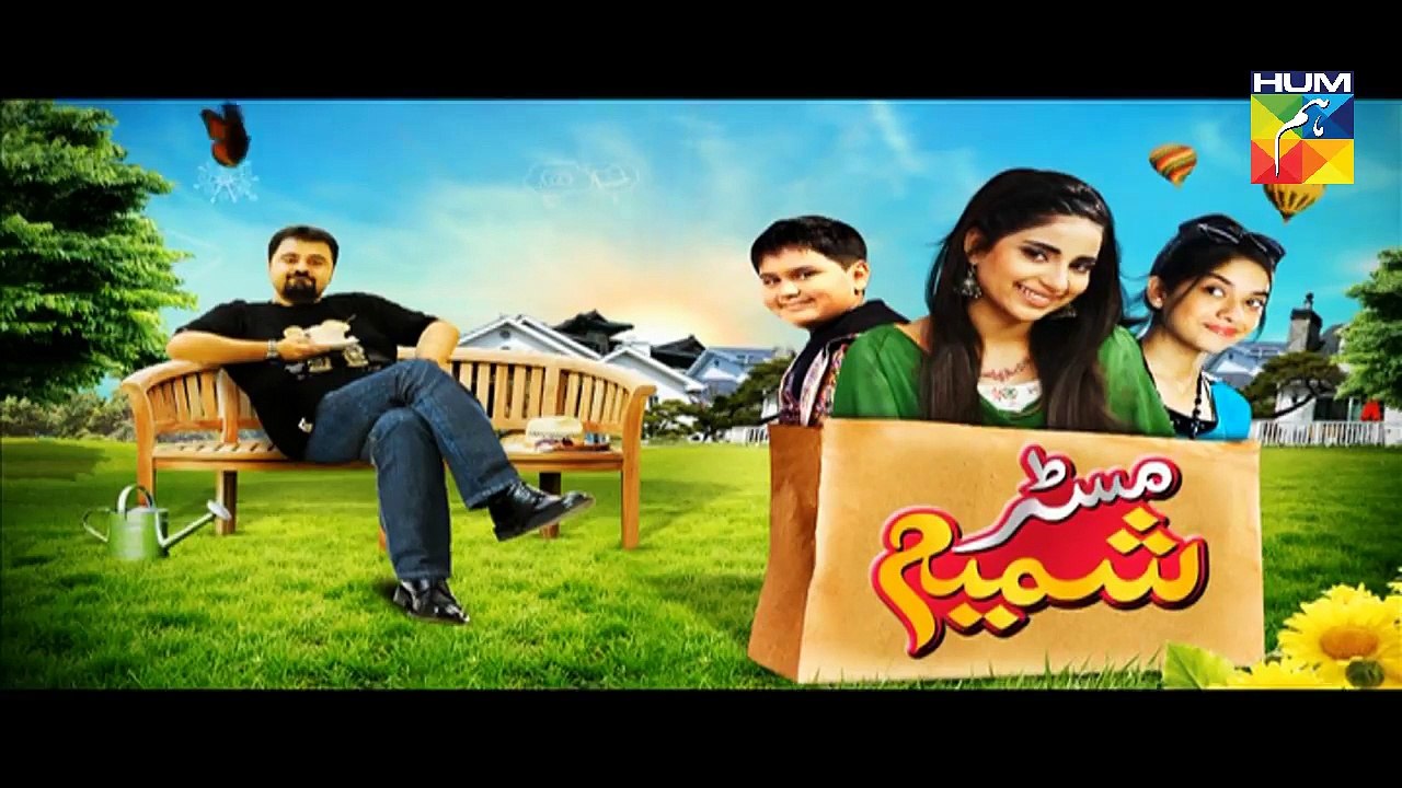 Mr Shamim Episode 40 Full HUM TV Drama 19 Dec 2015