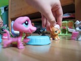 Littlest Pet Shop: Girls BFFs 2 (slot)