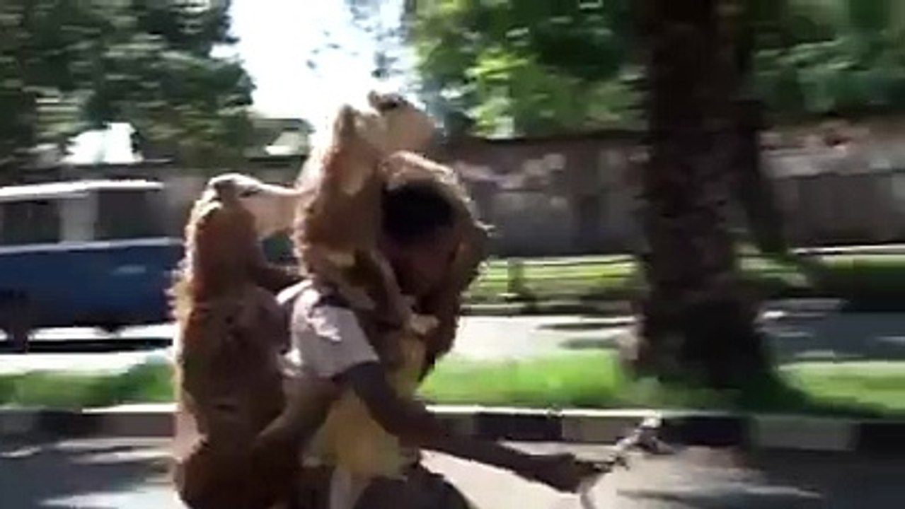 Es cycle waly k kaam aur himat daikho very funny