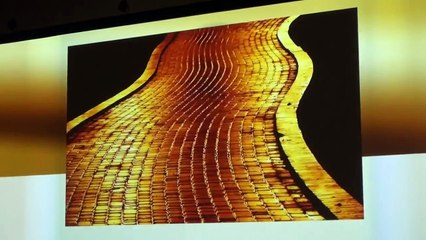 OneCoin - Dubai event (Hot)