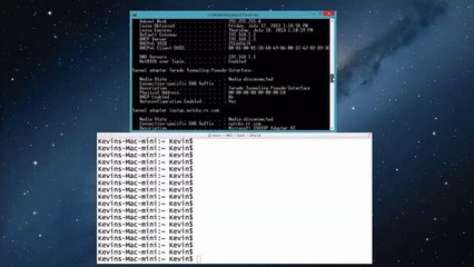 219.Lesson 2 Verifying Host Configuration