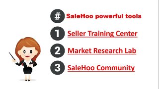 Salehoo Review - Salehoo Honest dropshipping wholesale ebay 2014