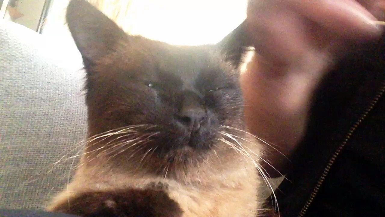 Mobile Capture 18 Jan 2016