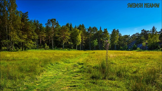 Swedish Folk Music - Swedish Meadow