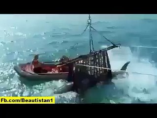 مچھلیاں پکڑتے ہوئے شارک نے ذندہ انسان کو نگل لیا