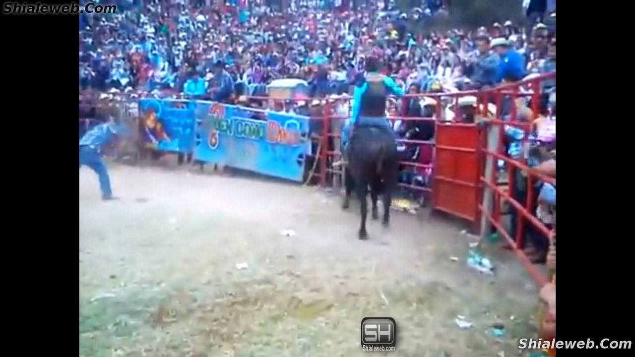 SUPER JARIPEO RANCHERO EN LA CANADA RANCHO SAN MIGUEL TOROS SALVAJOTES DE LA GANADERIA LOCAL Y JINETES PRO ENERO 2016