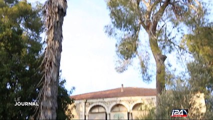 Aventure au musée d'Histoire naturelle de Jérusalem