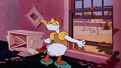 Donald Duck Contrary Condor