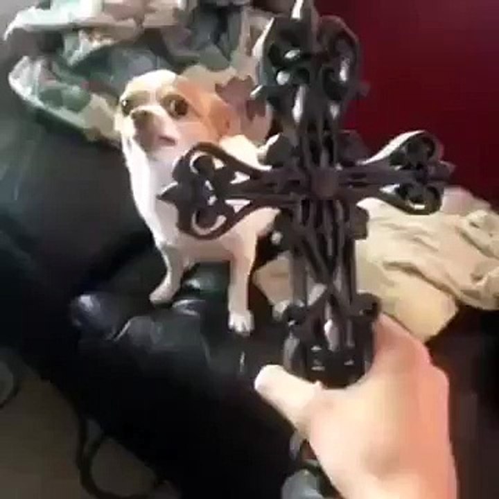 îñêîðáëåíèå ÷óâñòâ âåðóþùèõ