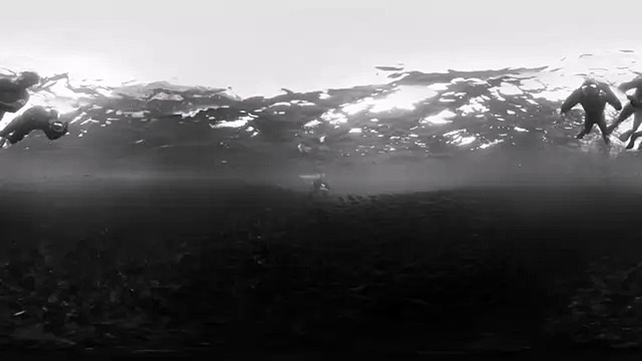 Arctic Orca 360° 4K