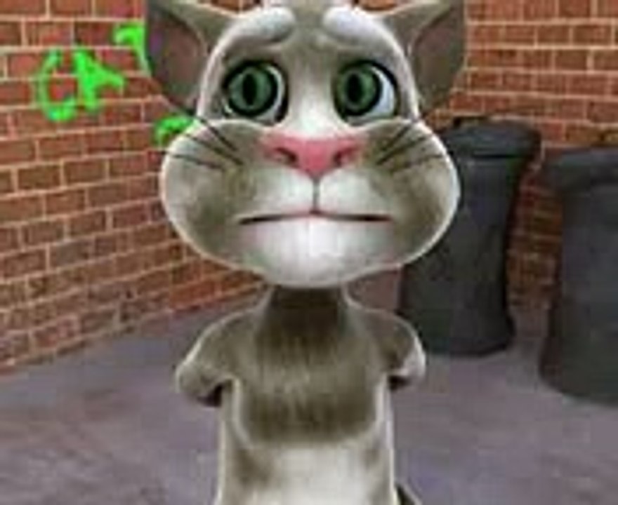 this is a amazing video of funny cat
