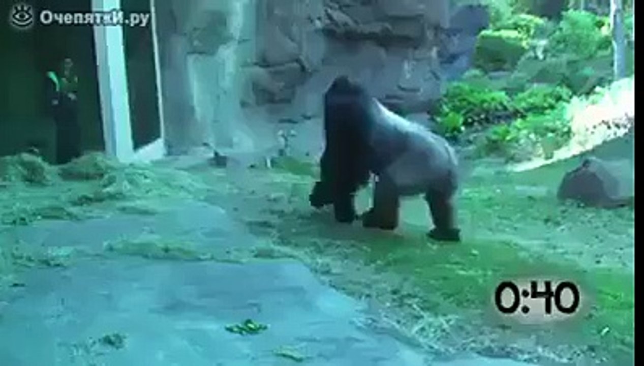 Enjoy Fun Clip