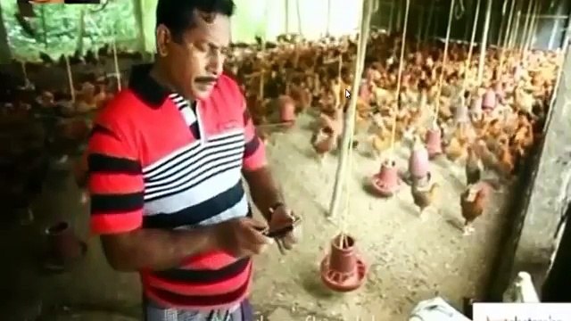 Bangla Comedy | হাসতে হাসতে পেট ব্যাথা হয়ে যাবে- Mosharraf Karim #Bangla Funny Video (Funny Videos 720p)