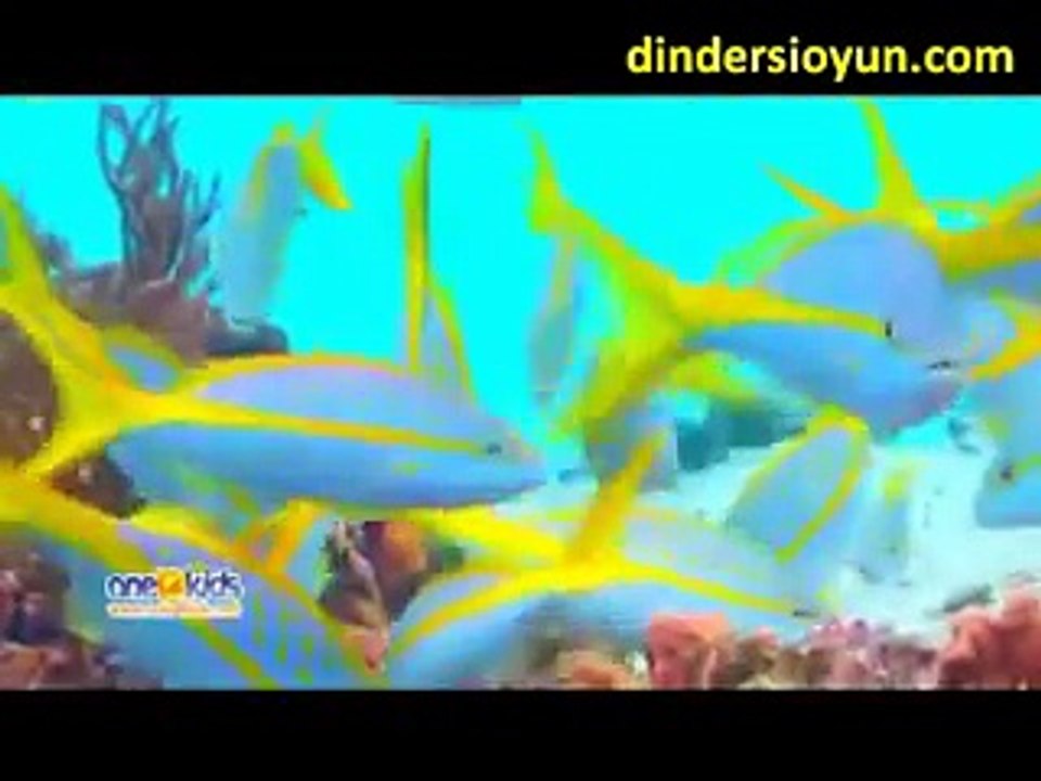 Dinim İslam İlahisi - ( ÇOCUKLAR İÇİN  )