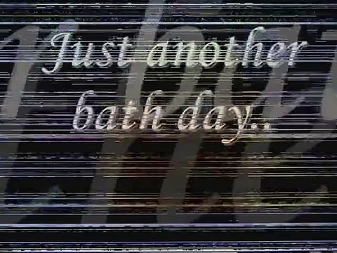 Funny, Cute Bunny Rabbit Eating Raspberries __ Sweet Funny Bunnies Rabbits __HD _ by Every New