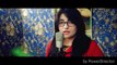 Gul Panra New Song 2016 | Pakistani / Bollywood Mashup