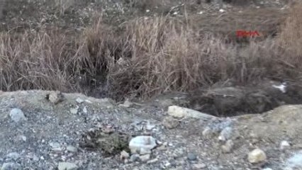 Tarsus Hurdacıyı Arkadaşları Öldürmüş